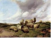 unknow artist Sheep 146 oil painting on canvas